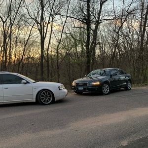 Meet your Posher, Dylan